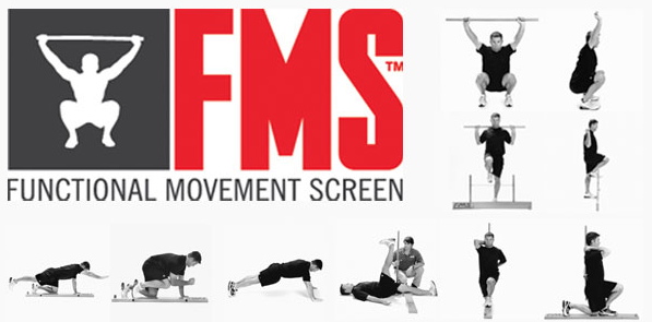 System FMS